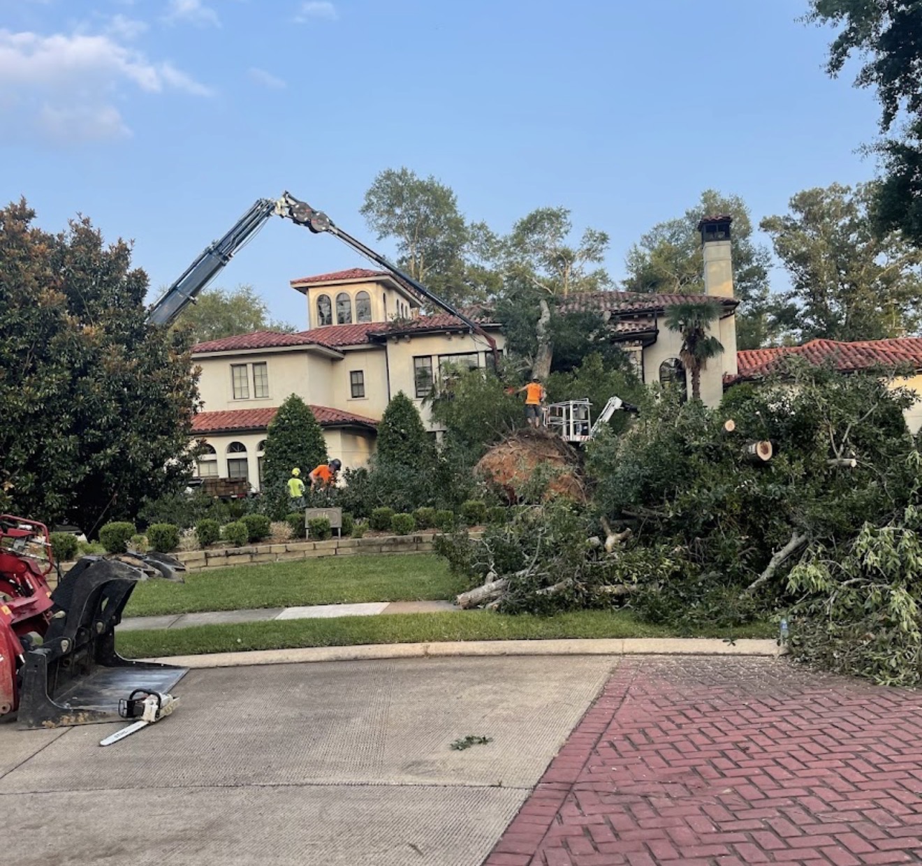 Garrison McKinney crew performing tree removal in Oxford, Mississippi